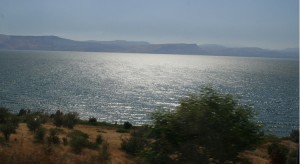 Colin Pearce in Galilee, Israel